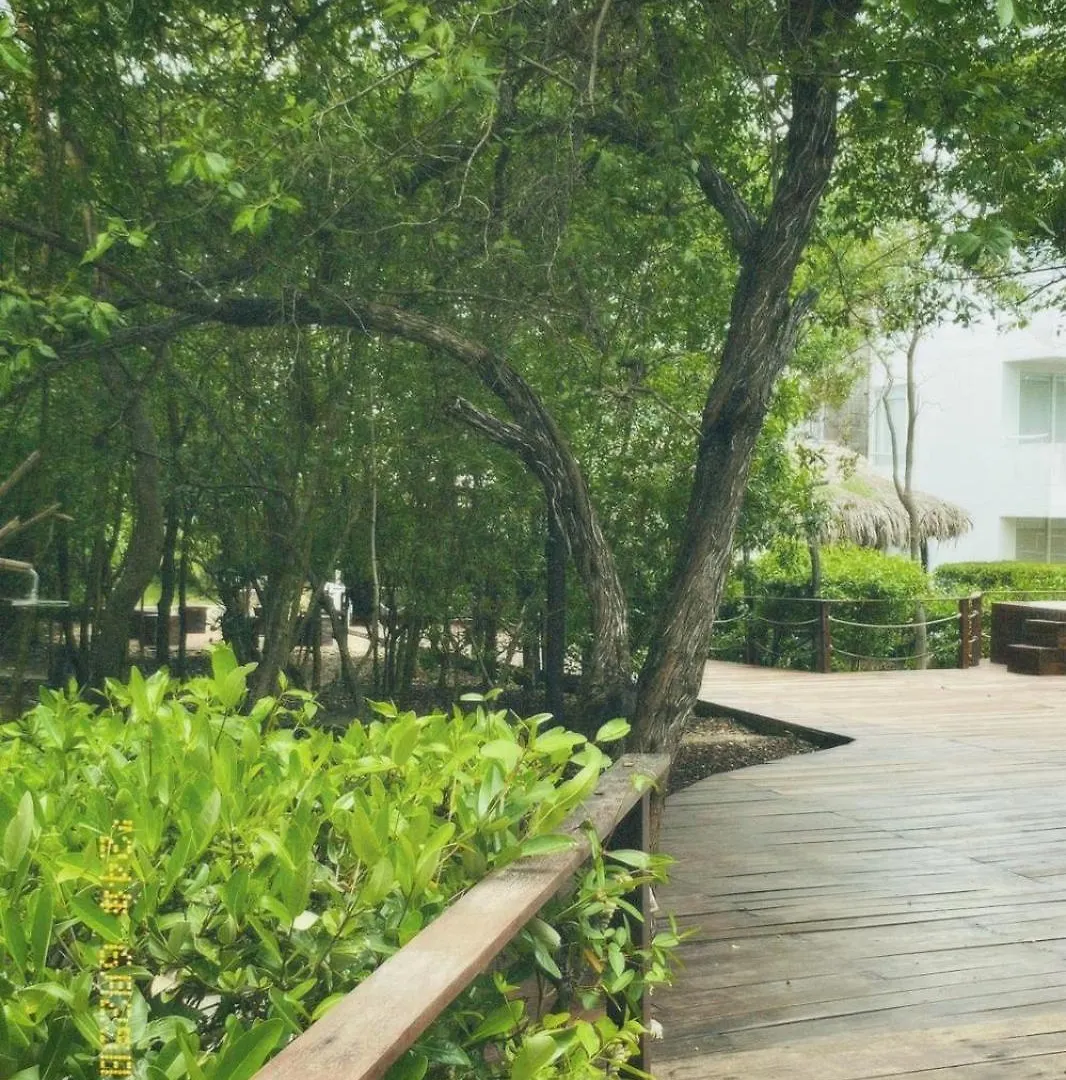 Santo Manglar Cartagena Life Wellness Spa Hotel Colombia
