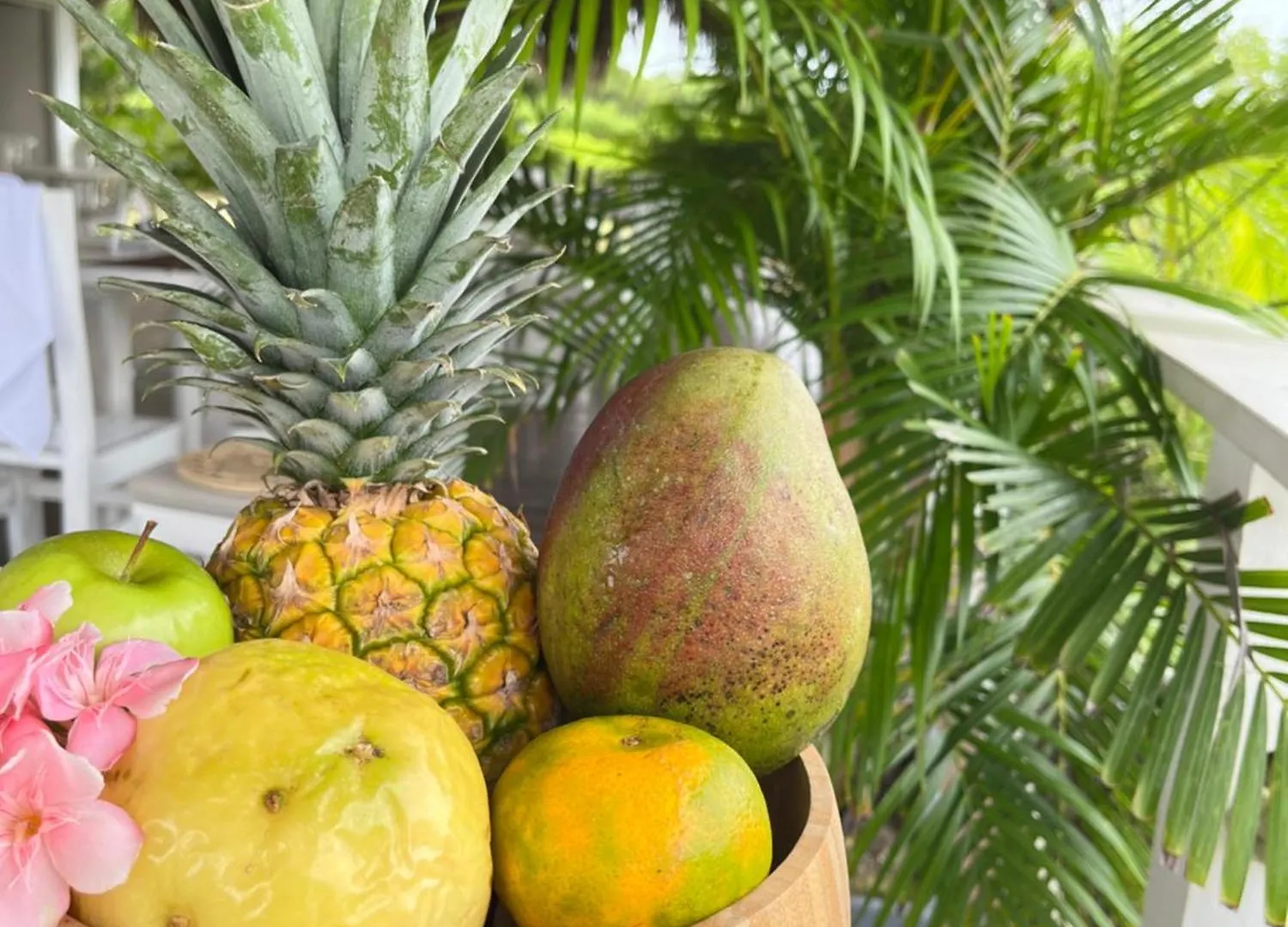 *** Resort Santo Manglar Cartagena Life Wellness Spa Hotel Colombia