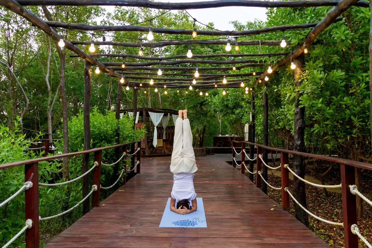 Santo Manglar Cartagena Life Wellness Spa Hotel 3*,  コロンビア