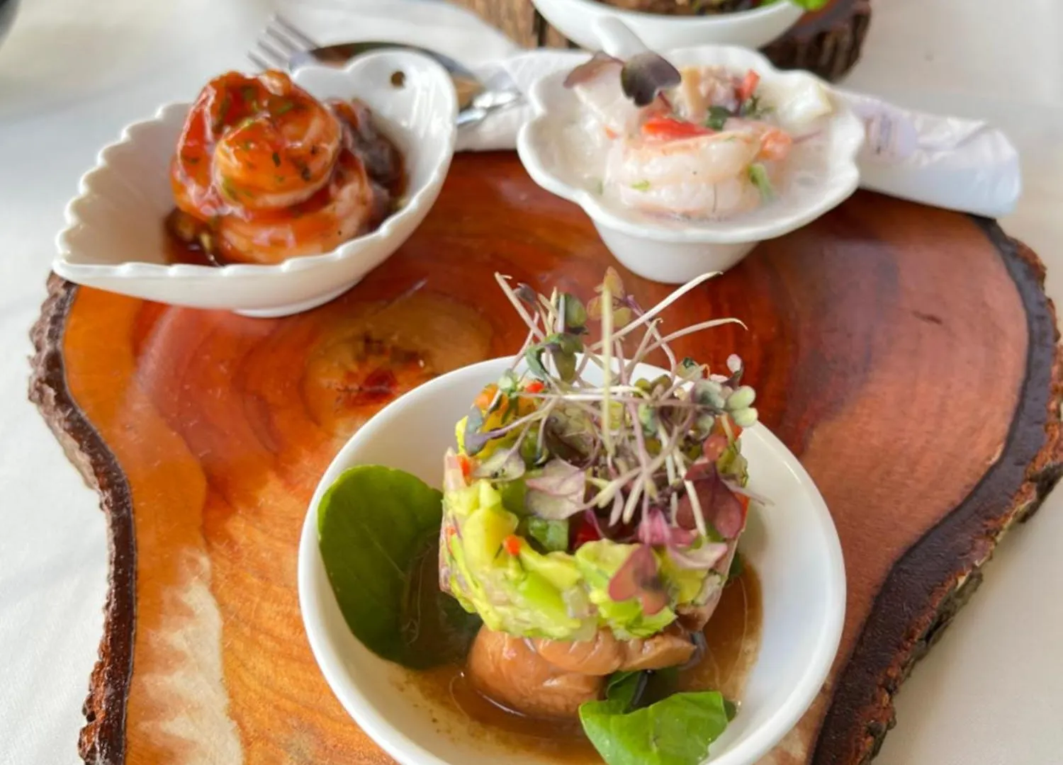 *** リゾート Santo Manglar Cartagena Life Wellness Spa Hotel コロンビア