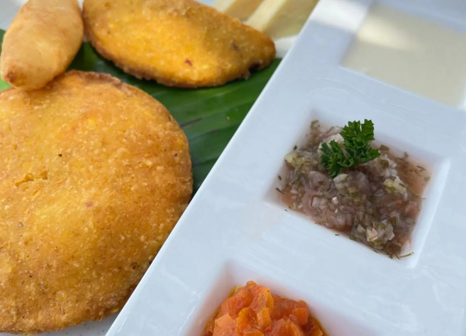 リゾート Santo Manglar Cartagena Life Wellness Spa Hotel